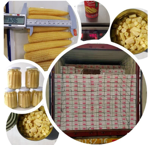 ข้าวโพดเด็กอินทรีย์-พร้อมรับประทาน - Product Image 5