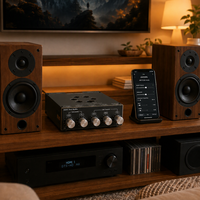 Carte d'amplificateur de puissance 2.1 canaux AS21HPA TPA3255 300W x 2 + 600W Subwoofer, module audio numérique pour home cinéma