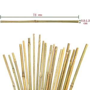 Estacas y postes de bambú Moso de alta calidad-Material de bambú crudo tratado y postes de bambú artificiales - Product Image 6