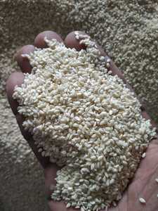 เมล็ดงาดำปอกเปลือก เมล็ดงาดำดำ เมล็ดงาธรรมชาติ จำนวนมากที่สุด - Product Image 2