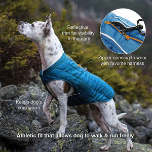 Reflective Winter Warm Dog Pet <b>Jacket</b> Windproof Adjustable Fashion Dog Coats Breathable <b>Jacket</b> Custom Material Dog <b>Jackets</b> - Product Image 5