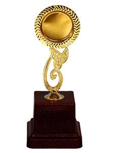 Coupe de trophée en métal de luxe pour le championnat de cricket, cadeau commémoratif pour le gagnant du tournoi et cérémonie sportive - Product Image 3