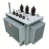 Transformateur de distribution immergé dans l'huile APEX S13-M 400-2500 kVA 33-35 kV 380-415 V Triphasé 50 Hz 60 Hz pour postes de transformation des réseaux électriques