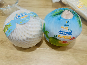 มะพร้าวอ่อนปอกเปลือกสดใหม่ พร้อมบรรจุภัณฑ์ตามสั่ง สำหรับซูเปอร์มาร์เก็ตและร้านค้าปลีก - Product Image 5