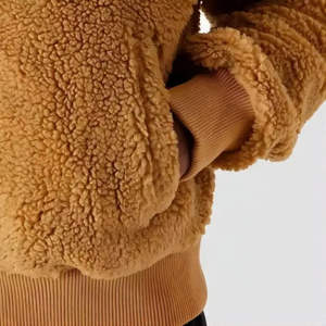 Sweats à capuche en polaire Teddy pour hommes, nouvelle arrivée 2026, sur mesure, 100% coton, respirant, séchage rapide, fermeture éclair sur le devant, poche, design haut de gamme - Product Image 3