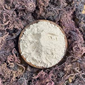 Polvo de musgo de mar puro, calidad superior, precio barato, polvo de seamoss molido de fábrica de Vietnam - Product Image 1