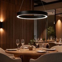 Luminaire suspendu linéaire LED contemporain pour restaurant gastronomique, circulaire 900 mm, dimmable, CRI 90, élégant