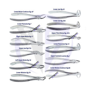 Pinzas de extracción de dientes de dentista Fig.33 Alicates quirúrgicos para extracción de dientes de raíz inferior, embalaje personalizado de instrumento dental manual - Product Image 2
