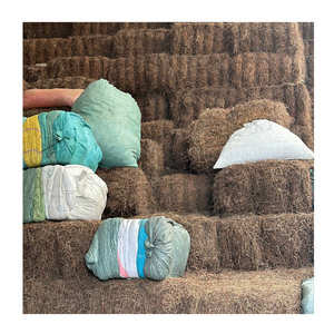 ใบเจลลี่หญ้าดำหญ้าสีดำที่ดีที่สุดจากเวียดนามส่งออกมาตรฐานการแข่งขันในราคาที่ดีที่สุดพร้อมบรรจุภัณฑ์กล่องและถุงสำหรับการสั่งซื้อจำนวนมาก - Product Image 1