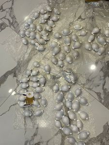 Beautiful Glossy Cowrie Shells Natural Seashells for Coastal Themed <b>Decor</b> - Product Image 5