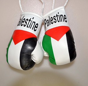 Llavero colgante de artículo de regalo para club infantil con bandera de Palestina, Mini guantes de boxeo, empuñaduras de mano con cordones, par de espejos de coche a prueba de viento - Product Image 1