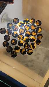 Botones de bocina de alta calidad al mejor precio para procesamiento de prendas Técnicas de punto no tejidas Paños de limpieza para manualidades de camisas - Product Image 2