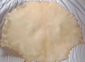 THISTLE ROSE ENTERPRISES Natural Vellum <b>Drum</b> Head Goat Skin Parchment Model TRE for Shamanic Frame <b>Drum</b> Musical Instrument - Product Image 2