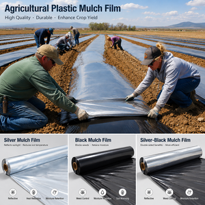 Rollo de Película de Plástico Compostable Anti UV Negro Plateado para Acolchado de Cultivos de Fresas y Piñas - Product Image 1