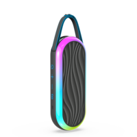 8 lumières LED RGB d'extérieur pour enceinte 30W avec micro intégré, charge rapide, alimentation par batterie, IP56, compatible gaming, durable, portable