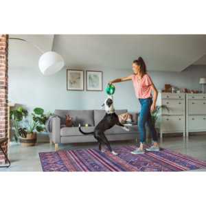 Tapis lavable à motif floral violet moderne Netline Home Depot série 1322M - Product Image 6