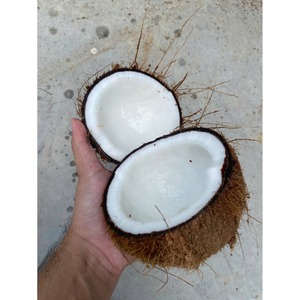 Coco semi descascarillado de origen agrícola mantenido en condiciones naturales cosechado en el pico de madurez para un fuerte aroma - Product Image 6