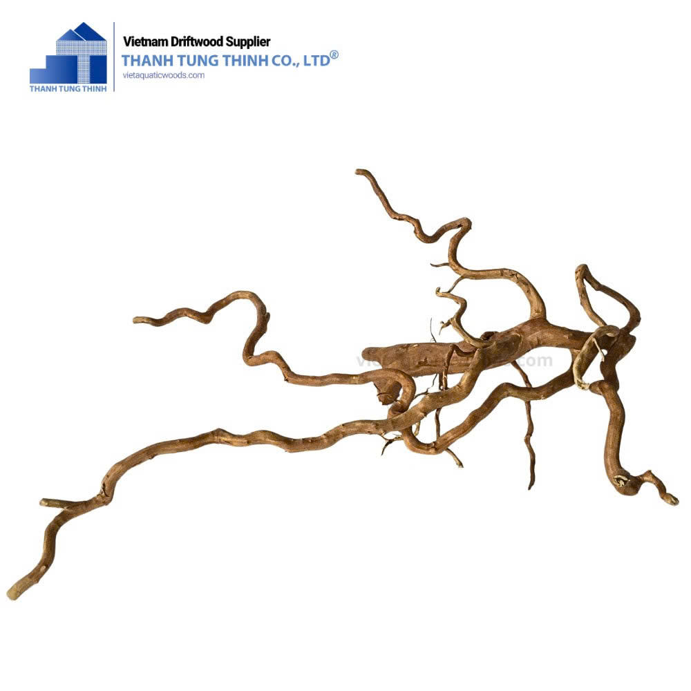 ธรรมชาติ