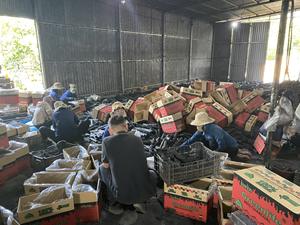 เครื่องอัดถ่านแท่งถ่านกัมมันต์สำหรับเผานานเป็นมิตรกับสิ่งแวดล้อมเครื่องทำจากขี้เลื่อยไม้ไผ่เวียดนามไม่ต้องใส่สารเคมี - Product Image 6