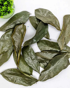 Hojas de guanábana secas naturales para té y uso herbal - Product Image 6