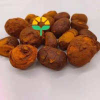 Extracto de cálculos biliares de buey y ganado natural de alta calidad con 3 años de vida útil para otros usos