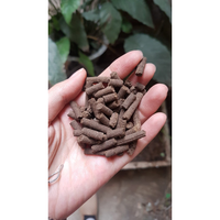 GRANULES DE VERS BIOLOGIQUES PURS/ENGRAIS NATUREL COMPRIME/MEILLEURE VALEUR/FABRIQUÉ au VIETNAM