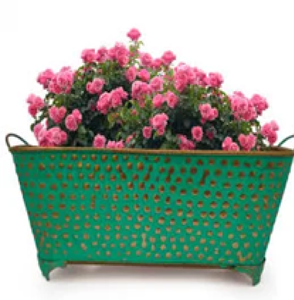 Maceta rústica de latón en tonos dorados con soporte, Juego de 2 macetas modernas de metal, maceta de hierro, maceta decorativa pequeña y grande al por mayor - Product Image 5