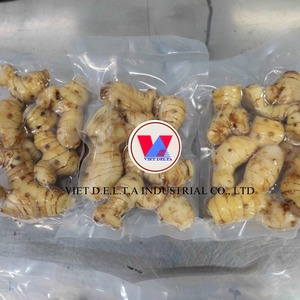 JENGIBRE CONGELADO PARA MEZCLAS DE ESPECIAS NATURALES BEBIDAS DE HIERBAS INGREDIENTES FUNCIONALES Y CADENAS ALIMENTARIAS SALUDABLES GLOBALES - Product Image 5