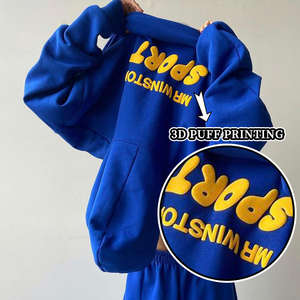 Sweatshirts unisexes en coton 300GSM sweats à capuche confortables, chauds et durables vêtements décontractés fourniture directe d'usine de logo personnalisé en gros - Product Image 2