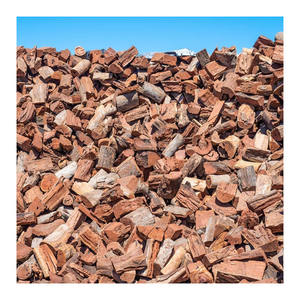 Fuerte leña chempedak disponible para comercio al por mayor y proyectos de energía industrial - Product Image 1