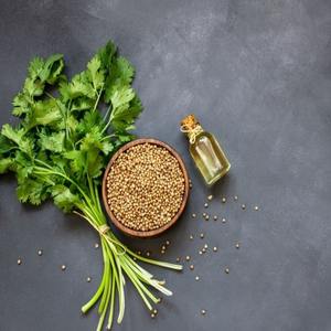 Bulk Pure Parsley Seed <b>Essential</b> <b>Oil</b> for Aromatherapy Cosmetics Premium Quality Steam Distilled Herbal <b>Oil</b> OEM Wholesale Supply - Product Image 2