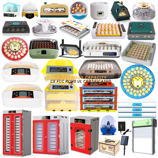 Digital Intelligent Controller Blue Star 240 1000 21000 Qual Eggs 12v Dc 220v Ac Solar Incubator Hatching Automated Machine