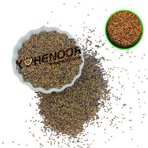 Trèfle persan | Source botanique de pâturage | Utilisation propre d'alimentation des animaux - Product Image 1