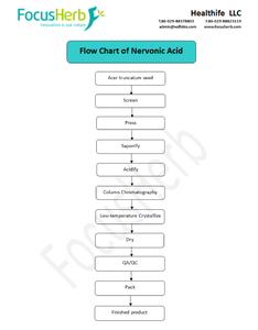 Ácido Cis-15-Teracosenoico FocusHerb CAS 506-37-6 Extracto de Acer Truncatum 90% Ácido Nervónico - Product Image 4