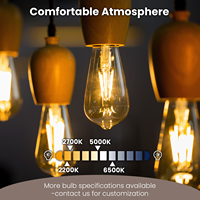 Fabricant direct ampoule à filament LED Edison 4W E26 110V ST21 450LM verre à intensité variable sans scintillement ampoules LED CUL résidentiel