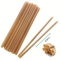 Pailles à boire biodégradables en bagasse de canne à sucre, compostables, réutilisables, recyclables, qualité supérieure, 197 mm, pratiques