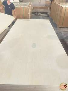 Meubles commerciaux en contreplaqué de 18mm du Vietnam Noyau de peuplier E0 Application d'hôtel de colle Fabricant d'entrepôts HCPLY LUCYPLYWOOD - Product Image 2