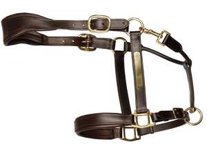Élégant Cheval Halters Rembourrage En Cuir Souple & Fantaisie Point En Laiton Matériel Raccords Accessoire En Gros - Product Image 3