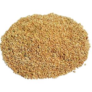 2023 new technology professional manufacturing foxtail millet of