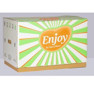 Boîte d'emballage en carton ondulé imprimé pour fruits, fournisseur indien, pour la récolte agricole, disponible à un prix abordable - Product Image 3