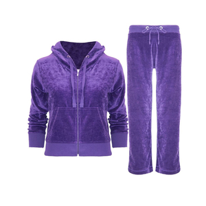 2025 femmes velours respirant survêtements Top vente Style personnalisé vêtements de sport à capuche fermeture éclair strass Techniques pour l'hiver - Product Image 6