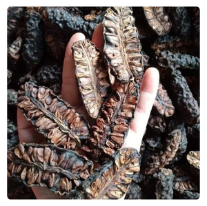 Top Export 100% Natural Organic Noni Fruit FD Secado con sabor dulce y propiedades saludables en embalaje a granel - Product Image 5