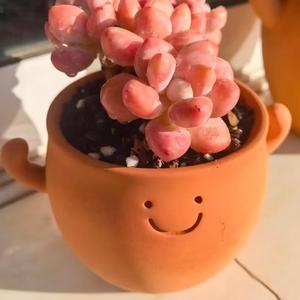 Leuke kleurveranderende keramische plantenbak met smiley-design - kleine cartoon bloempot voor huisdecoratie - Product Image 5