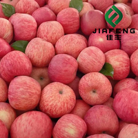 Fournisseur de fruits de première qualité, pommes fraîches de qualité supérieure, destinées à l'exportation