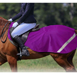 Lámina de ejercicio para caballos, equipo de alta calidad, venta al por mayor - Product Image 1