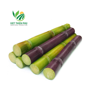 CANNE À SUCRE Offre Spéciale CONGELÉE PRIX COMPÉTITIF ET HAUTE QUALITÉ POUR L'EXPORTATION DES JARDINS DU VIETNAM - Product Image 3