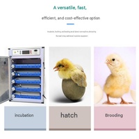 Incubateur d'œufs entièrement automatique de 0 à 600 œufs, une machine à trois usages : écloseur, éleveur et couveuse