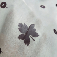 Papier de soie transparent 17/28g pour emballage de bouquets de fleurs, emballage cadeau, OEM ODM