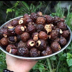 Bán buôn khô soapnuts-boondi kottai với chất lượng cao mẫu miễn phí từ Việt Nam - Product Image 4