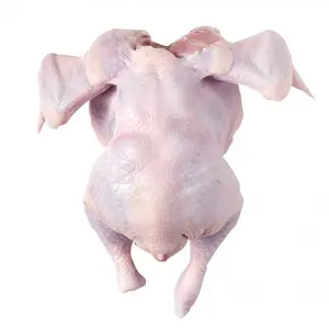 Pollo a la venta cuerpo entero pollo fresco congelado carne de pollo molido